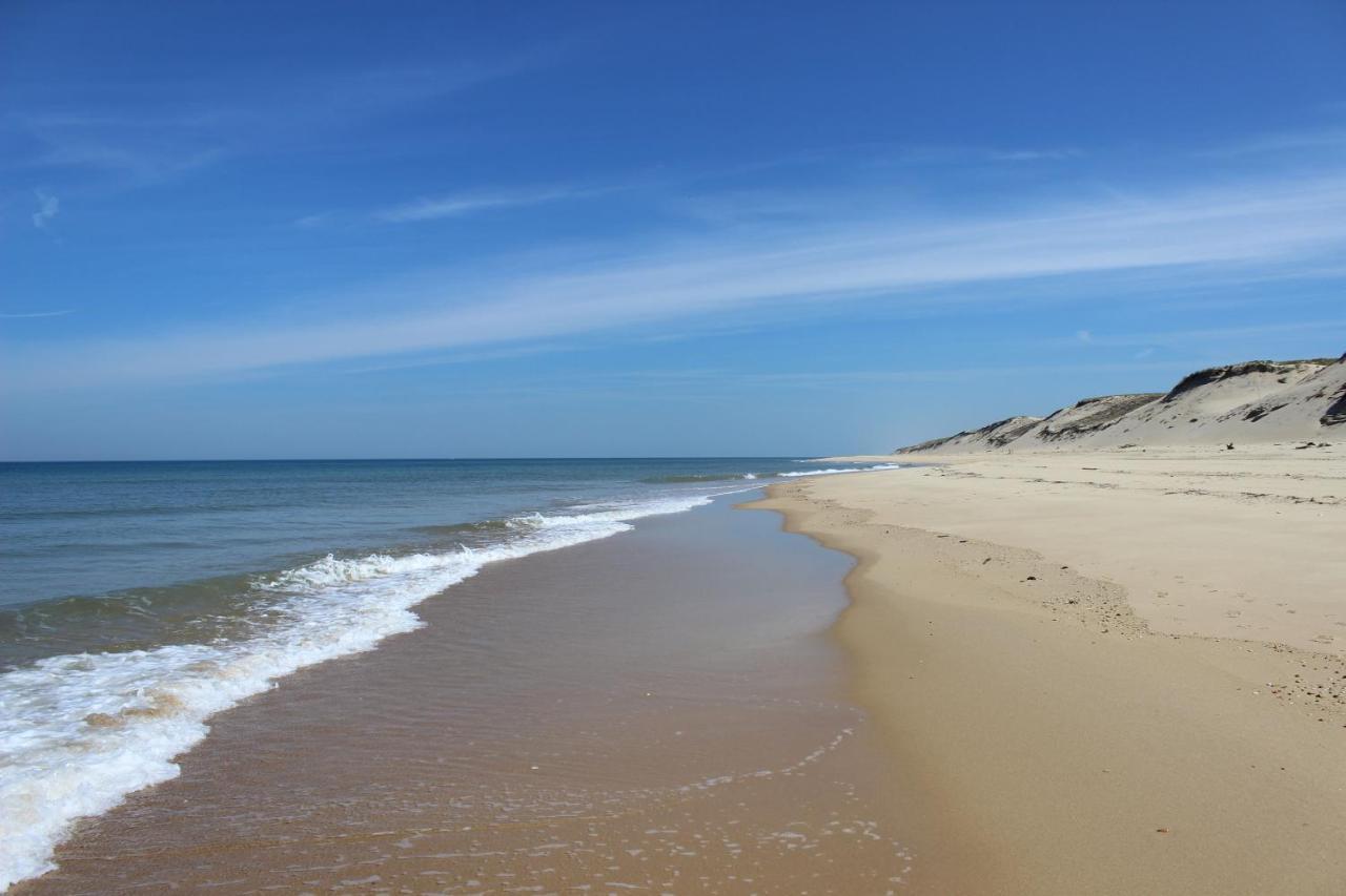 Joli En Bois A 7 Mn Des Plages Du Bassin D'arcachon Apartment *